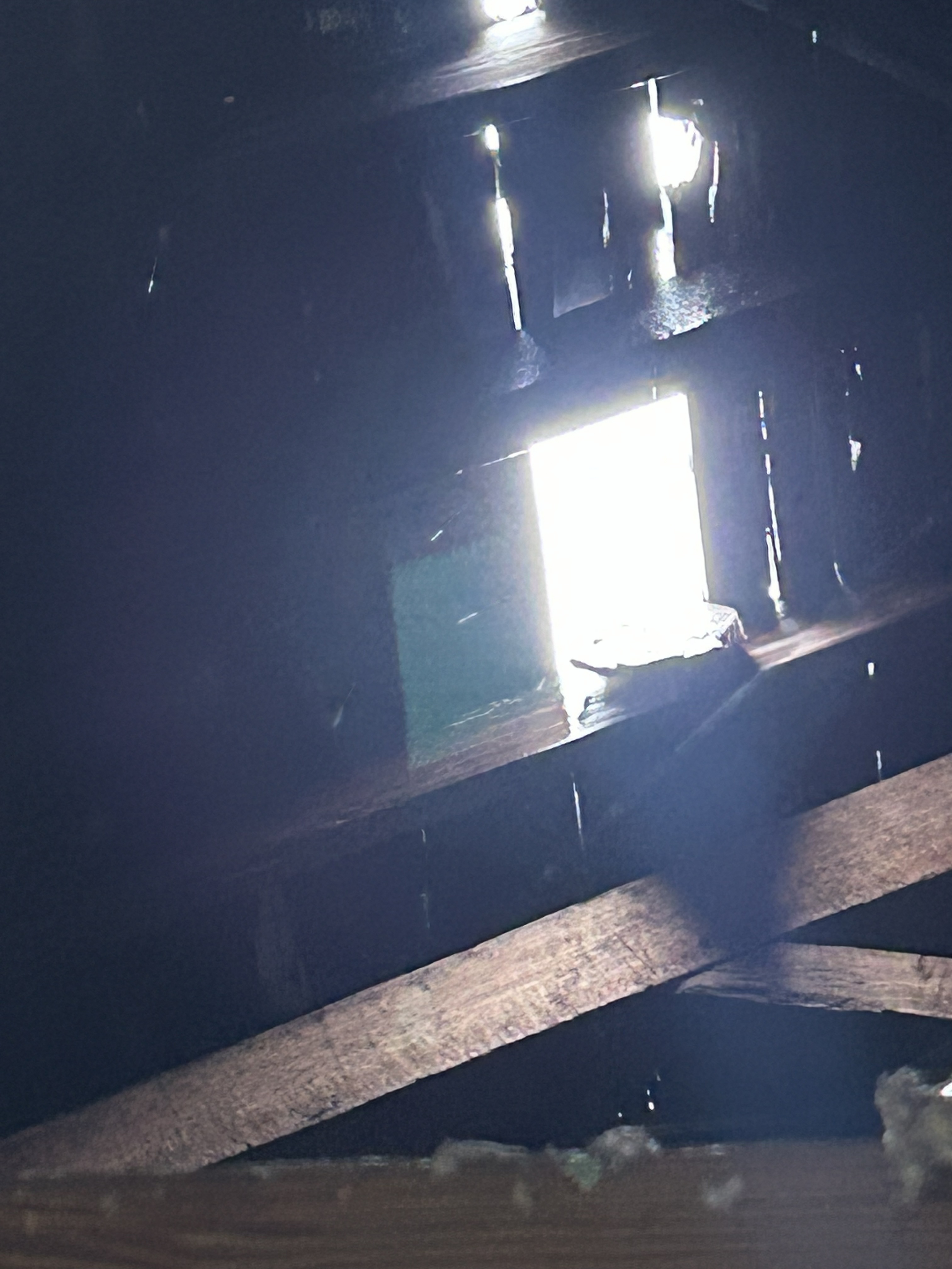Holes in roof